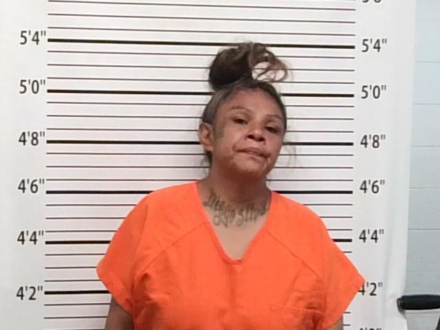 Booking photo of Alicia Marie Horsechief
