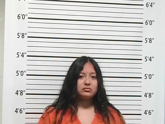 Booking photo of Emery Domebo