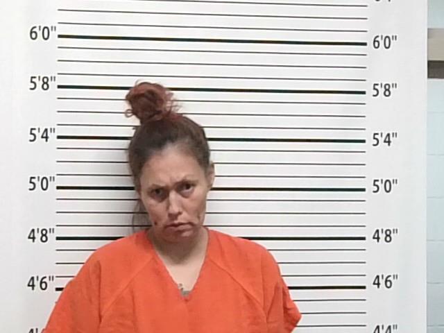 Booking photo of Jessica Little