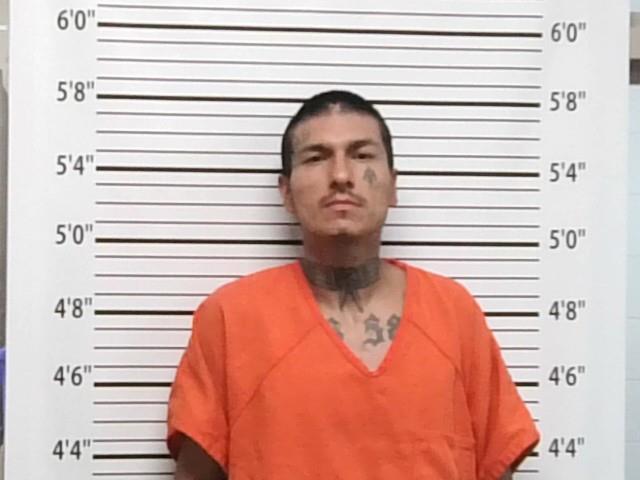 Booking photo of Robin Longhat