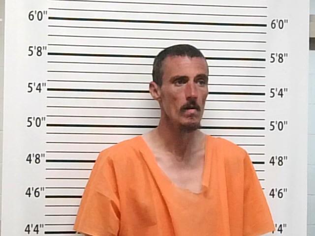 Booking photo of William Patrick Nolan