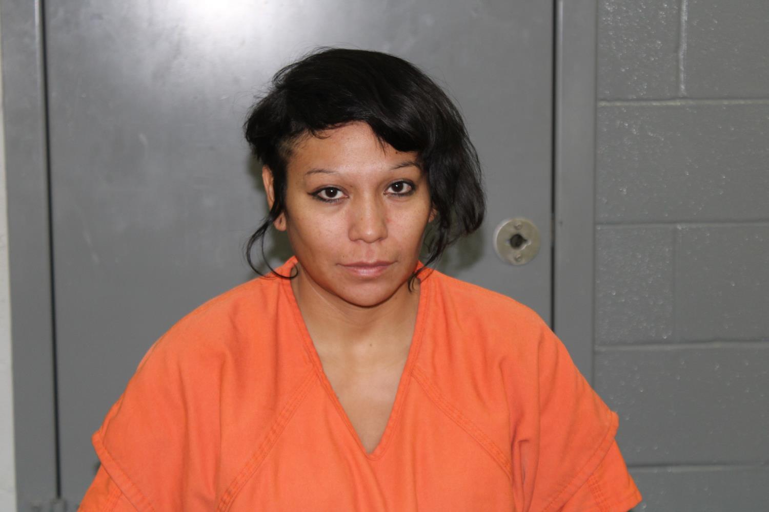 Booking photo of Brianna Nicole Sands