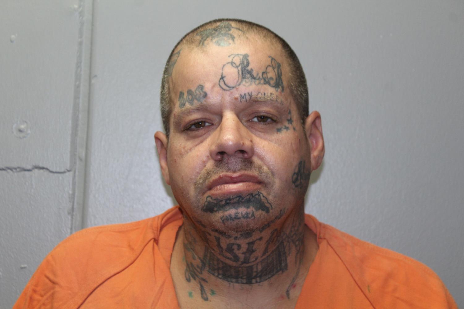 Booking photo of Craig Henry Borelis