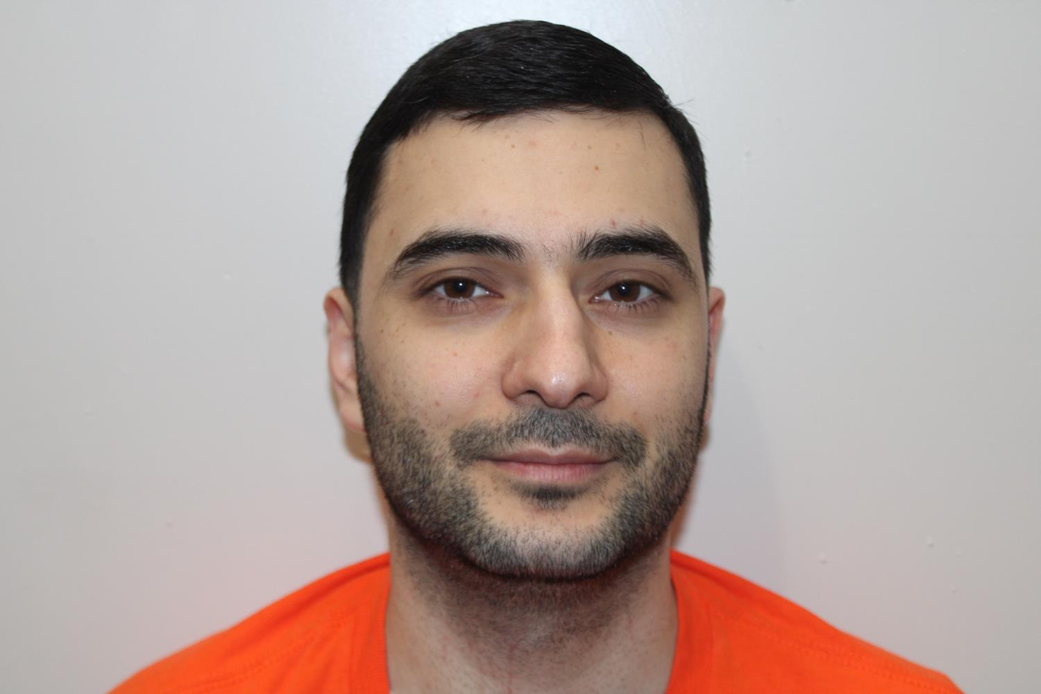 Booking photo of Davit Gaziyants
