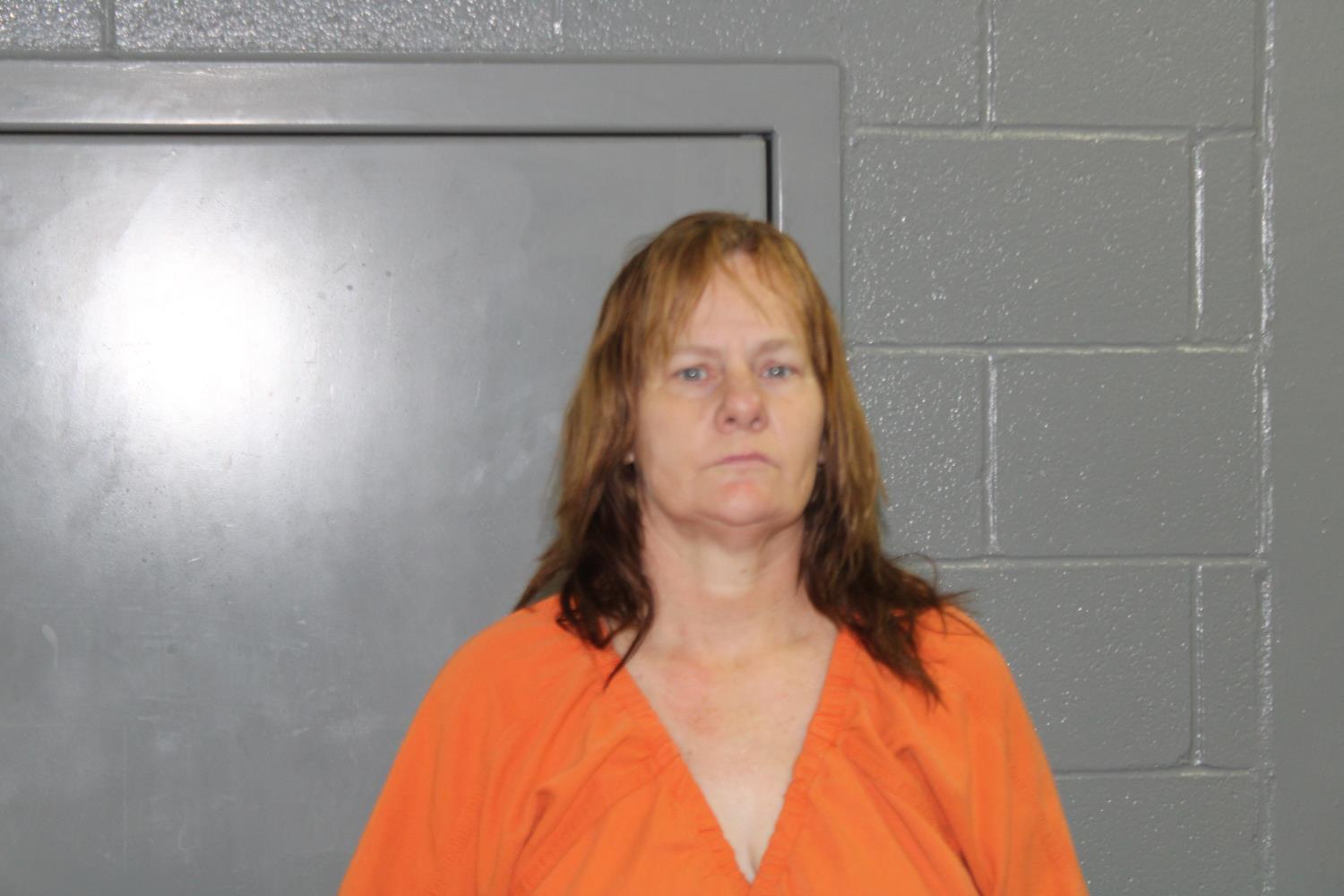 Booking photo of Diana Marie Washa