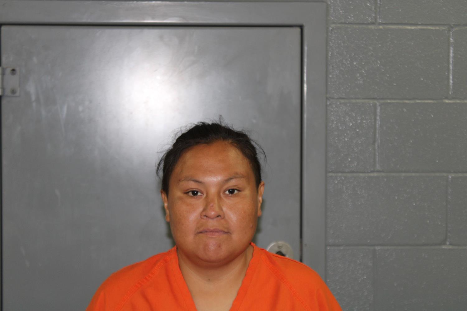Booking photo of Jessica Renae Redbird Youngbear