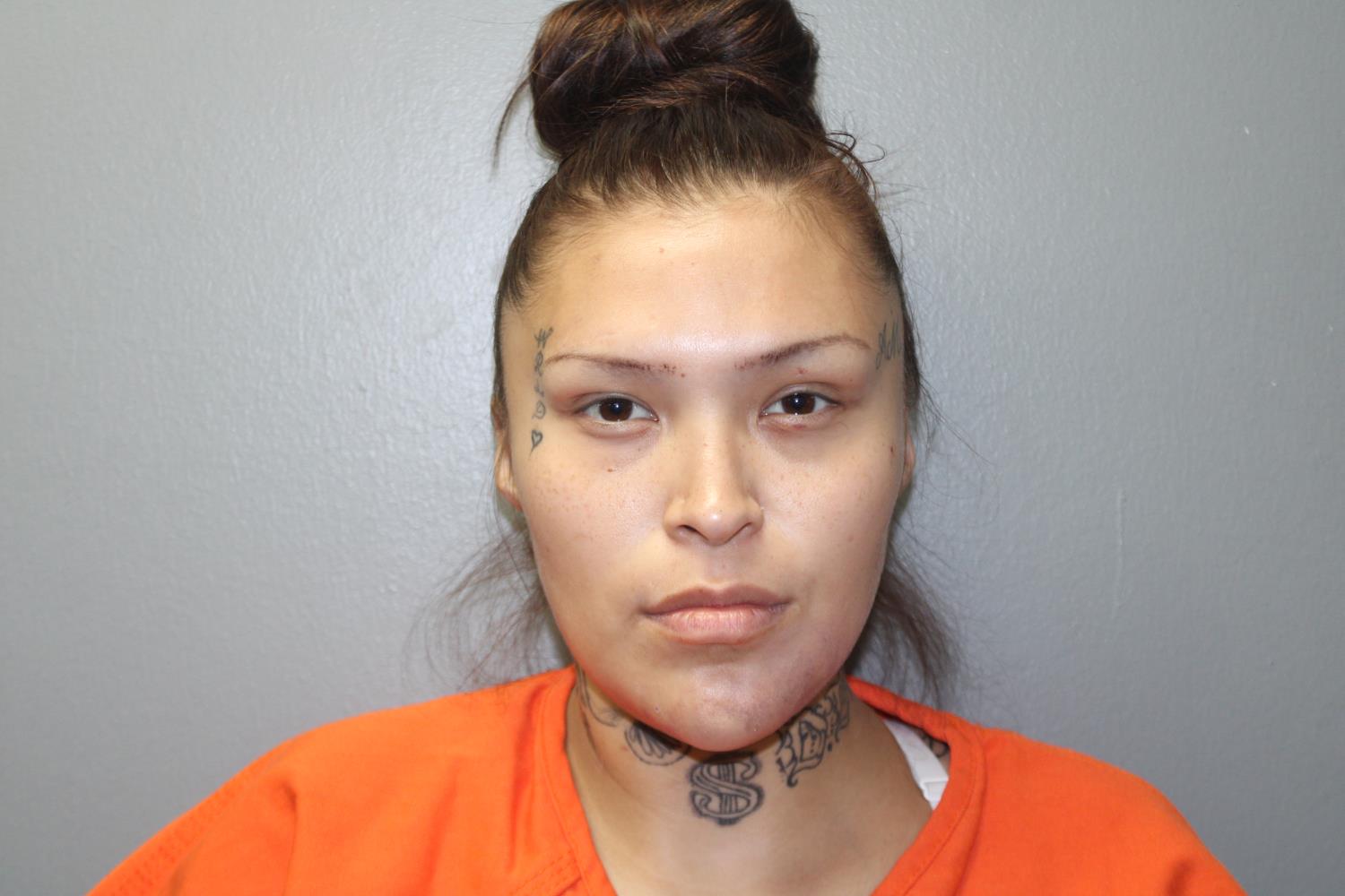 Booking photo of Kaylee Christine Turtle