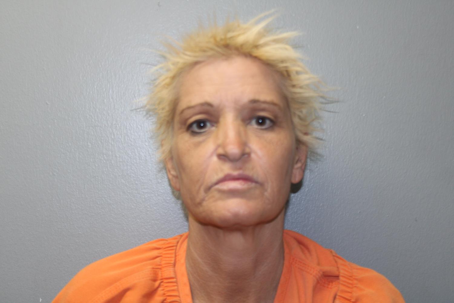 Booking photo of Misty Gayle Waits