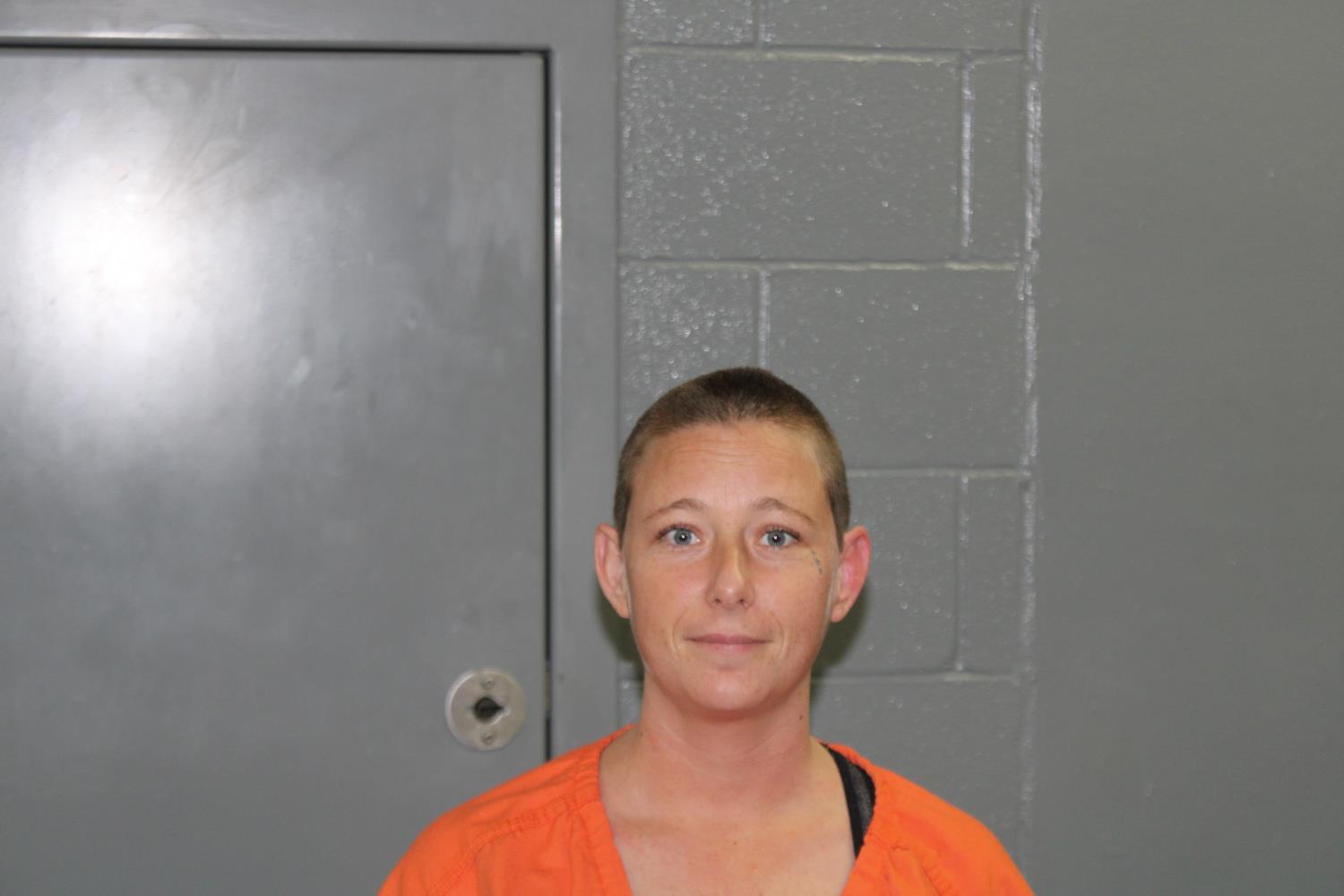 Booking photo of Suzanne Marie Boon