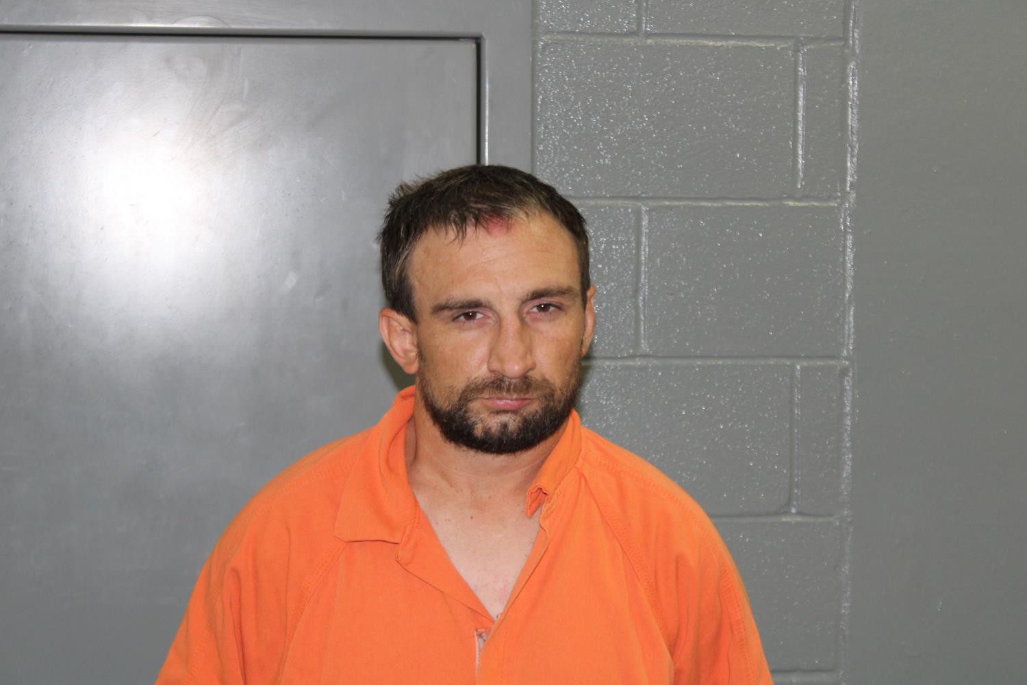 Booking photo of Tyler Brann Eaton