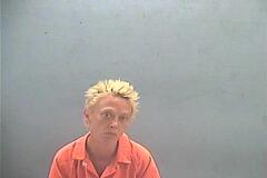 Booking photo of MEGHAN LEIGH QUINN
