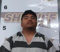 Booking photo of TRAE HARRIS