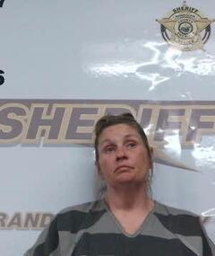 Booking photo of AMY MCGLOTHLIN