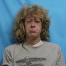 Booking photo of CHRISTY LEE BERRY