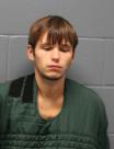 Booking photo of GAVIN LEE BURNS