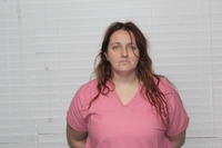 Booking photo of AMANDA MONIQUE OWENS