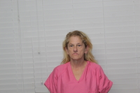 Booking photo of SHERIE ELLEN HAMBY