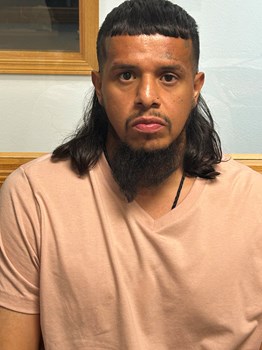 Booking photo of Santana Price