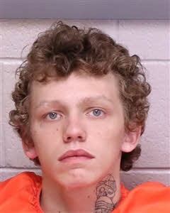 Booking photo of Whitworth Nesbitt Andersone