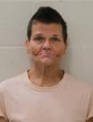 Booking photo of BRANDY L JAMES