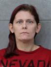 Booking photo of HEATHER E HOLMES