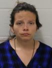 Booking photo of ROBYN MARIE WEBSTER