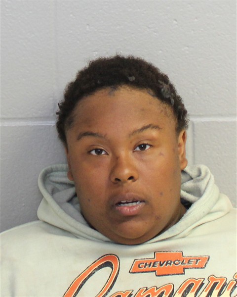 Photo of Diamond Ananyae Rodgers