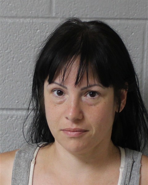 Photo of Lisa Janine Fellman