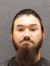 Booking photo of Coax Arnold V Sanford