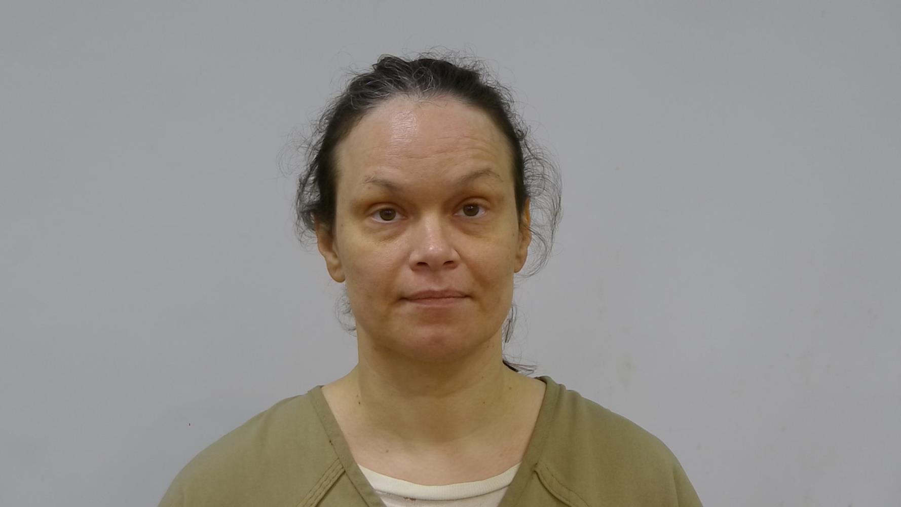 Booking photo of ERICA ANN SPIGELL