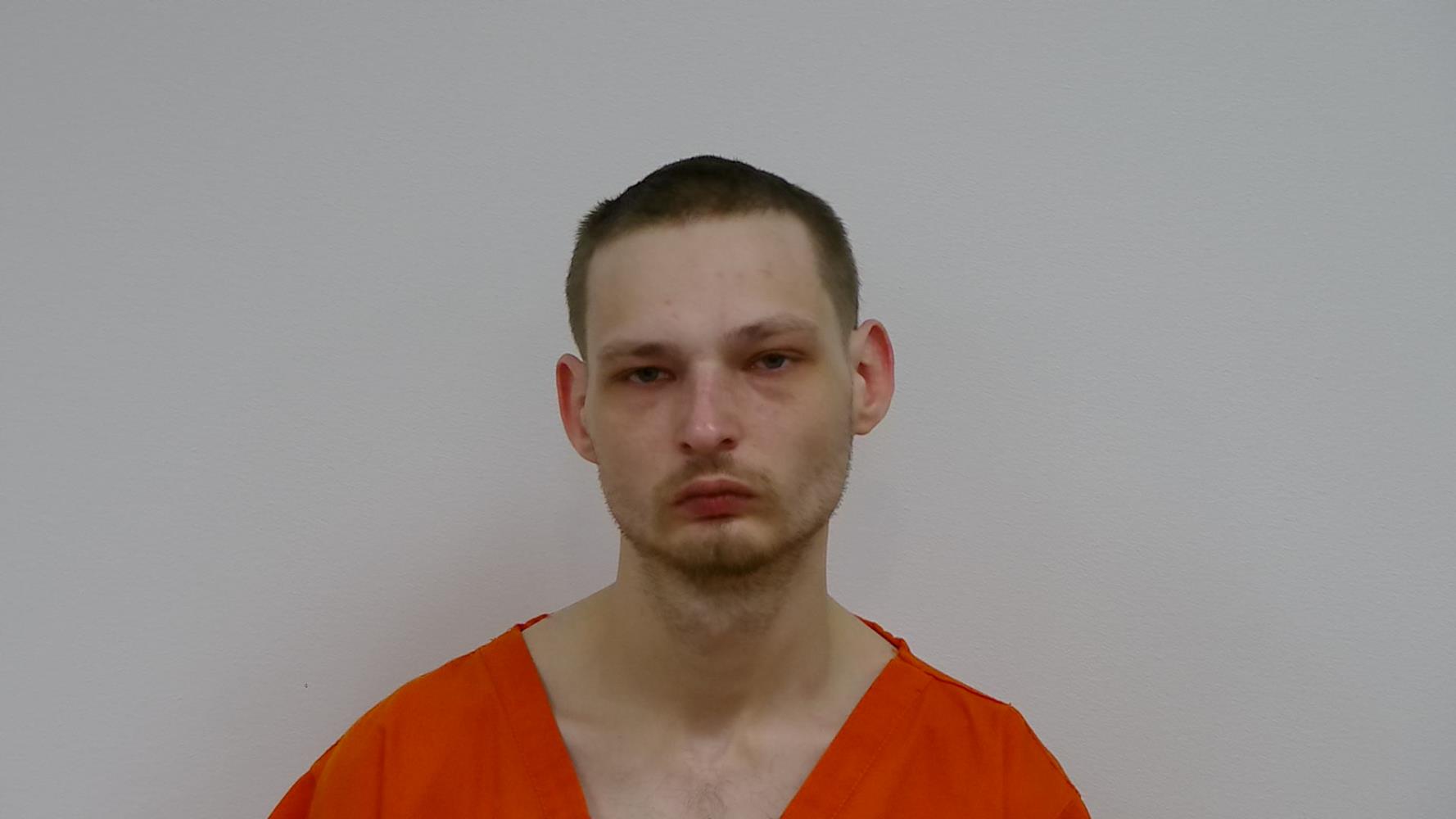 Booking photo of MICHAEL RYAN WATSON
