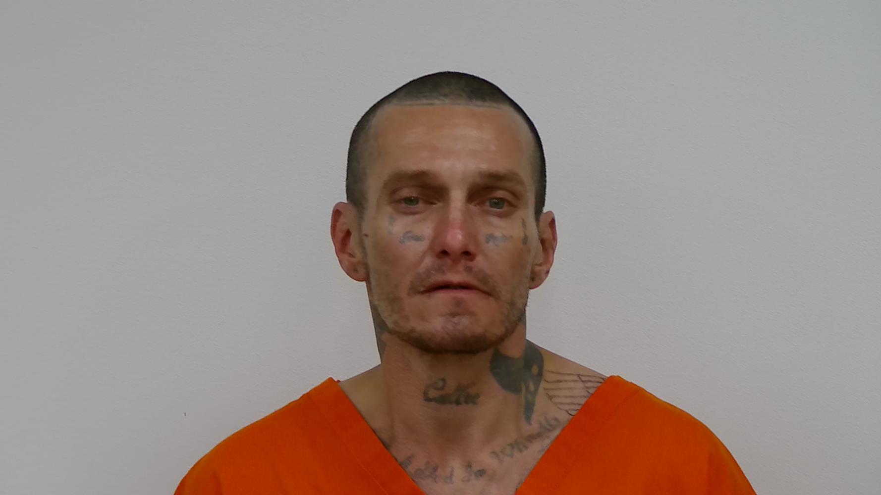 Booking photo of DEWAYNE A SCHAUB