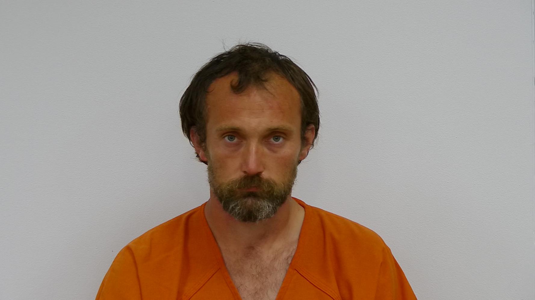 Booking photo of JESSIE JAMES WOLFE