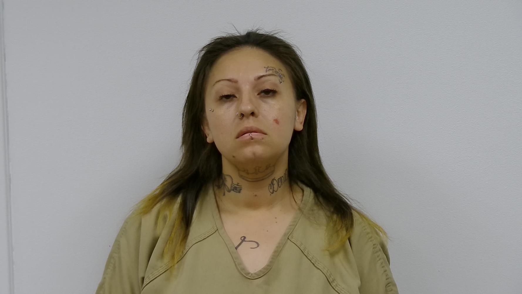 Booking photo of CARINA  MALDONADO