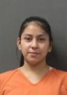 Booking photo of DESIREE CASTILLA WHITE CLOUD