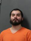 Booking photo of LEON S RINCON