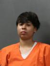 Booking photo of SAMANTHA ROSE WHITE HAWK