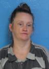 Booking photo of Brooke Erin Adkins