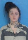 Booking photo of Krysten Marie Atkins