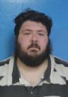 Booking photo of Dylon Ray Blankenship