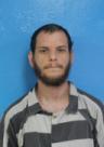 Booking photo of Joshua Steven Brown