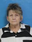 Booking photo of Mona Michelle Canipe Light