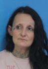 Booking photo of April Ann Dishner