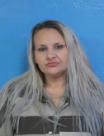 Booking photo of Erin Elizabeth Spring Ehorn