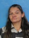 Booking photo of Tamara Dawn Fink