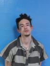 Booking photo of Dakota Austin Hale