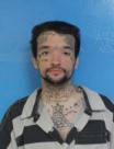 Booking photo of Dylan Troy Hollins
