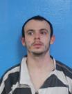 Booking photo of Blayne Austin Jenkins