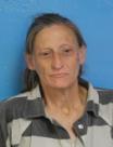 Booking photo of Cynthia Diane Johnson