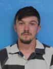 Booking photo of Perry Lynn Lane